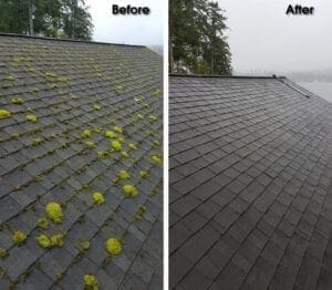 Before and After Roof Cleaning Shelton, WA