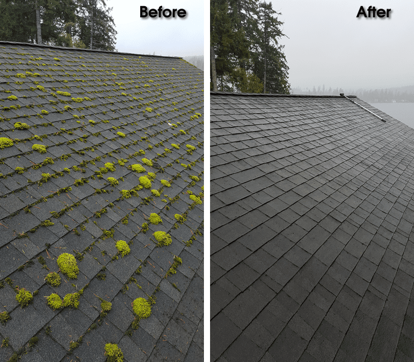 Before and after roof moss removal