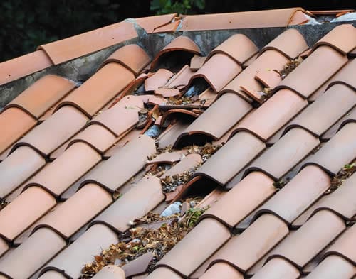 Roof showing broken roof tile